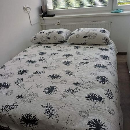 Apartma Nadja Maribor Dış mekan fotoğraf